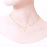 Necklace "My Parrot, my love"