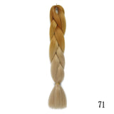 Magnifiques Extensions Style Fondu (Plusieurs Coloris)