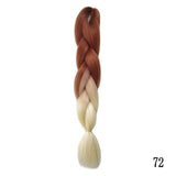 Magnifiques Extensions Style Fondu (Plusieurs Coloris)