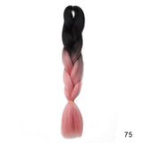 Magnifiques Extensions Style Fondu (Plusieurs Coloris)